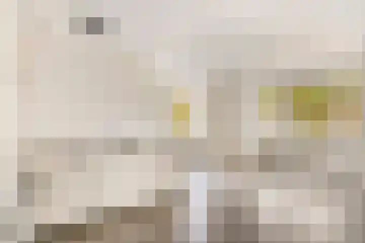 Stationsplein 12 L Veenendaal thumbnail 7