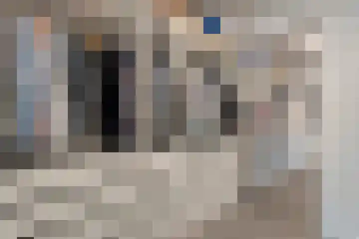 Stationsplein 12 Steenwijk thumbnail 21