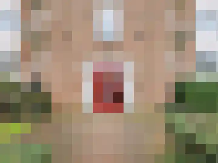Stationsplein 121 Zutphen thumbnail 23