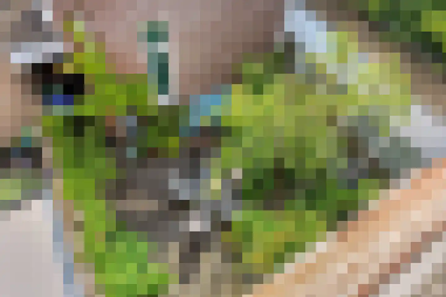 Stationsplein 124 Cuijk thumbnail 41
