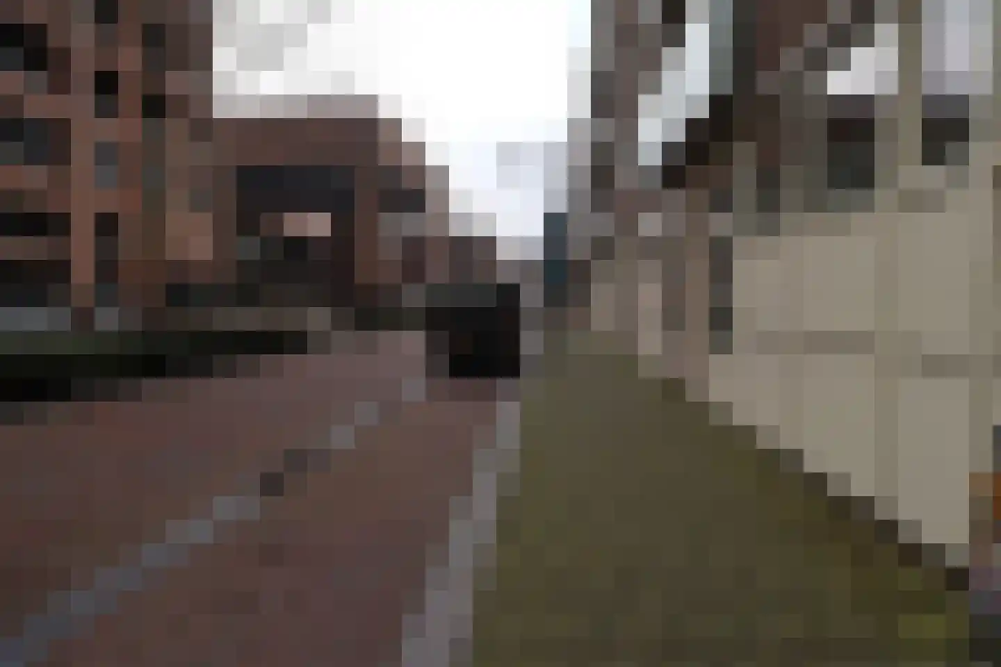 Stationsplein 14 A Breda thumbnail 18