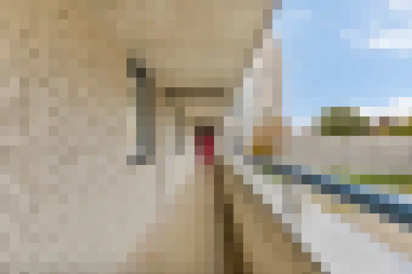 Stationsplein 16 1 Sittard thumbnail 19