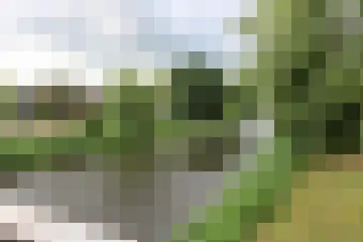 Stationsplein 16 Steenwijk thumbnail 27