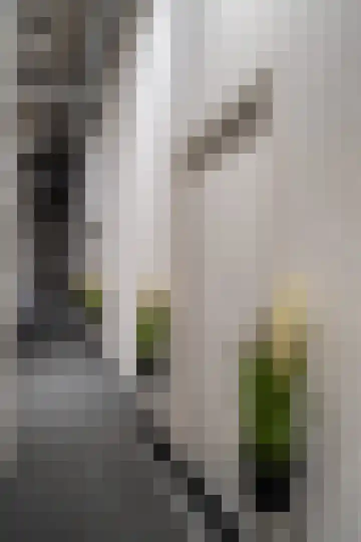 Stationsplein 17 B Weert thumbnail 8