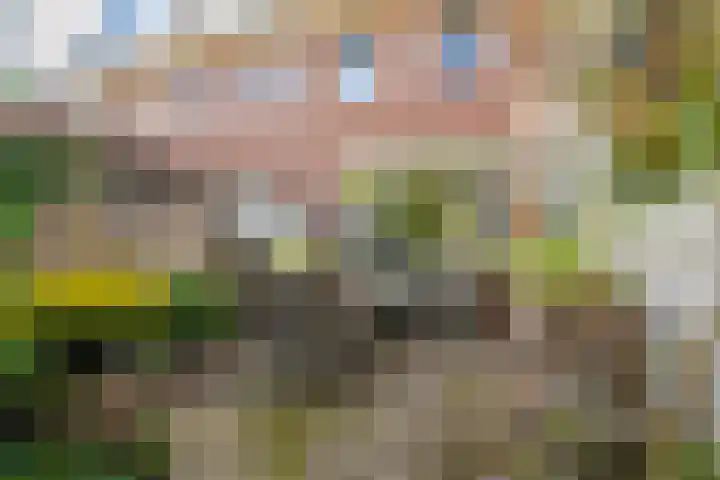 Stationsplein 18 Zevenaar thumbnail 21