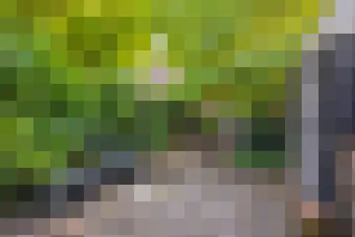 Stationsplein 18 Zevenaar thumbnail 24