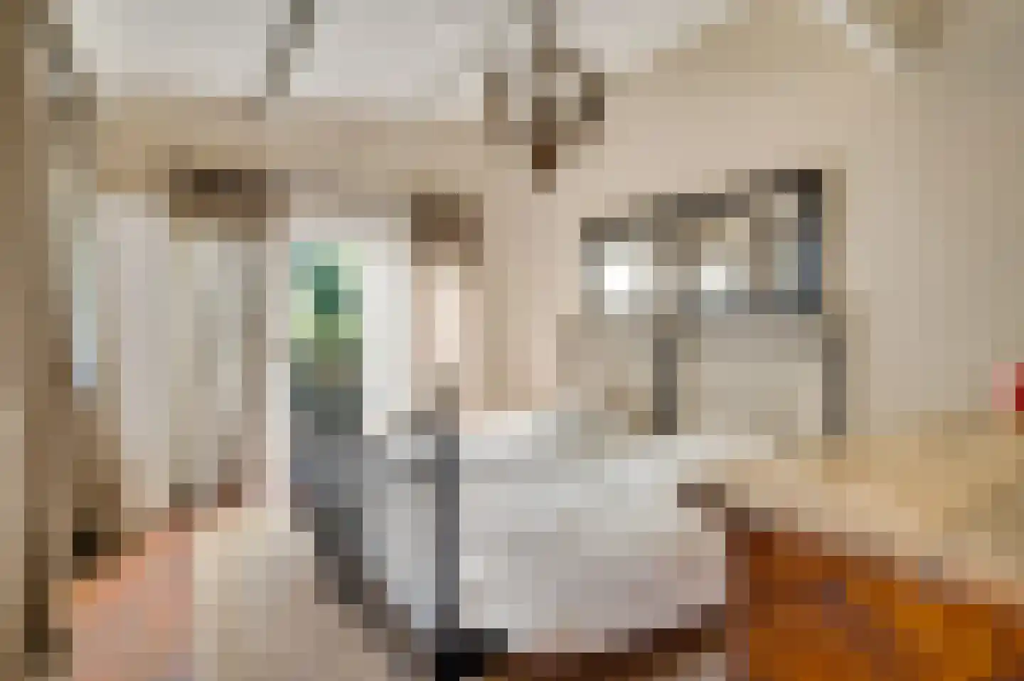 Stationsplein 2 Meerssen thumbnail 31