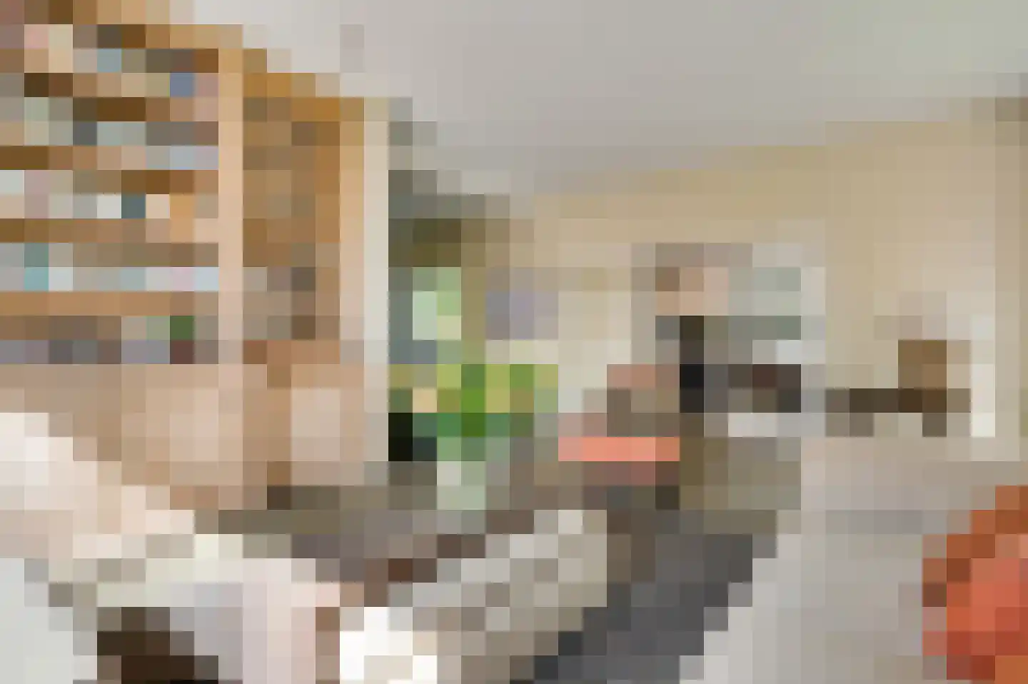 Stationsplein 2 Meerssen thumbnail 9