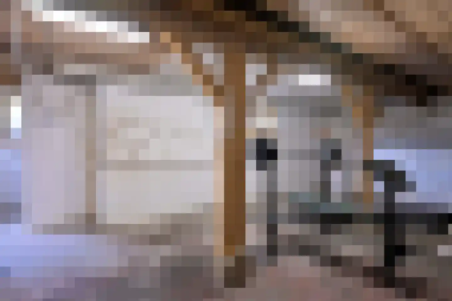 Stationsplein 20 Dieren thumbnail 28
