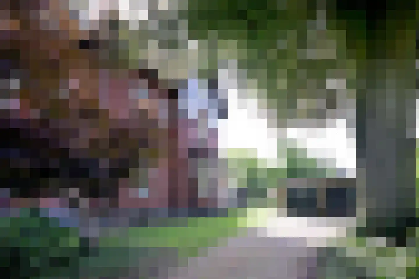 Stationsplein 20 Dieren thumbnail 4
