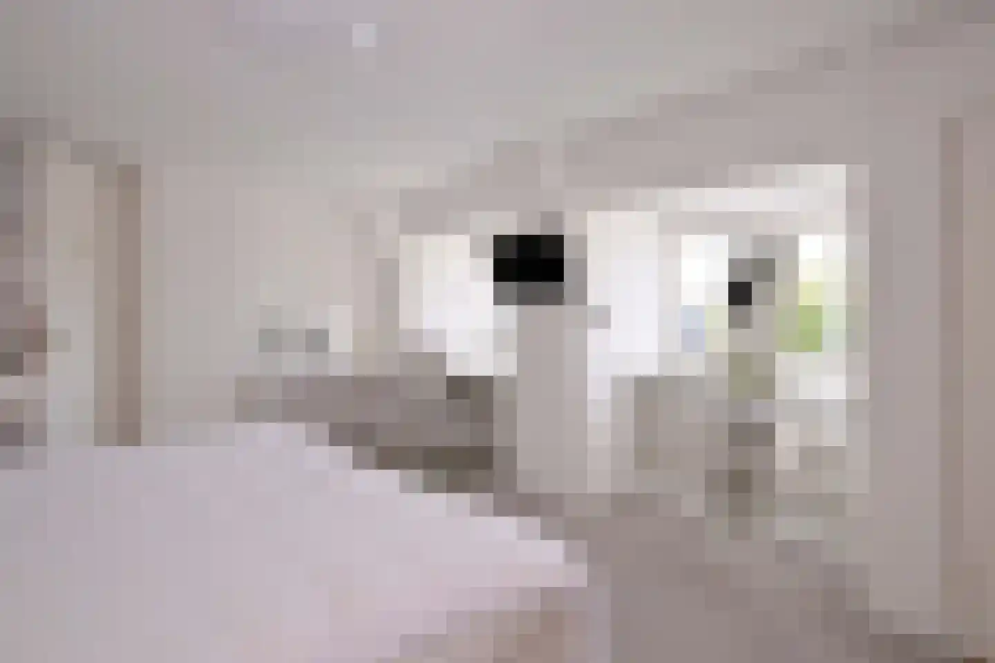 Stationsplein 20 Dieren thumbnail 45