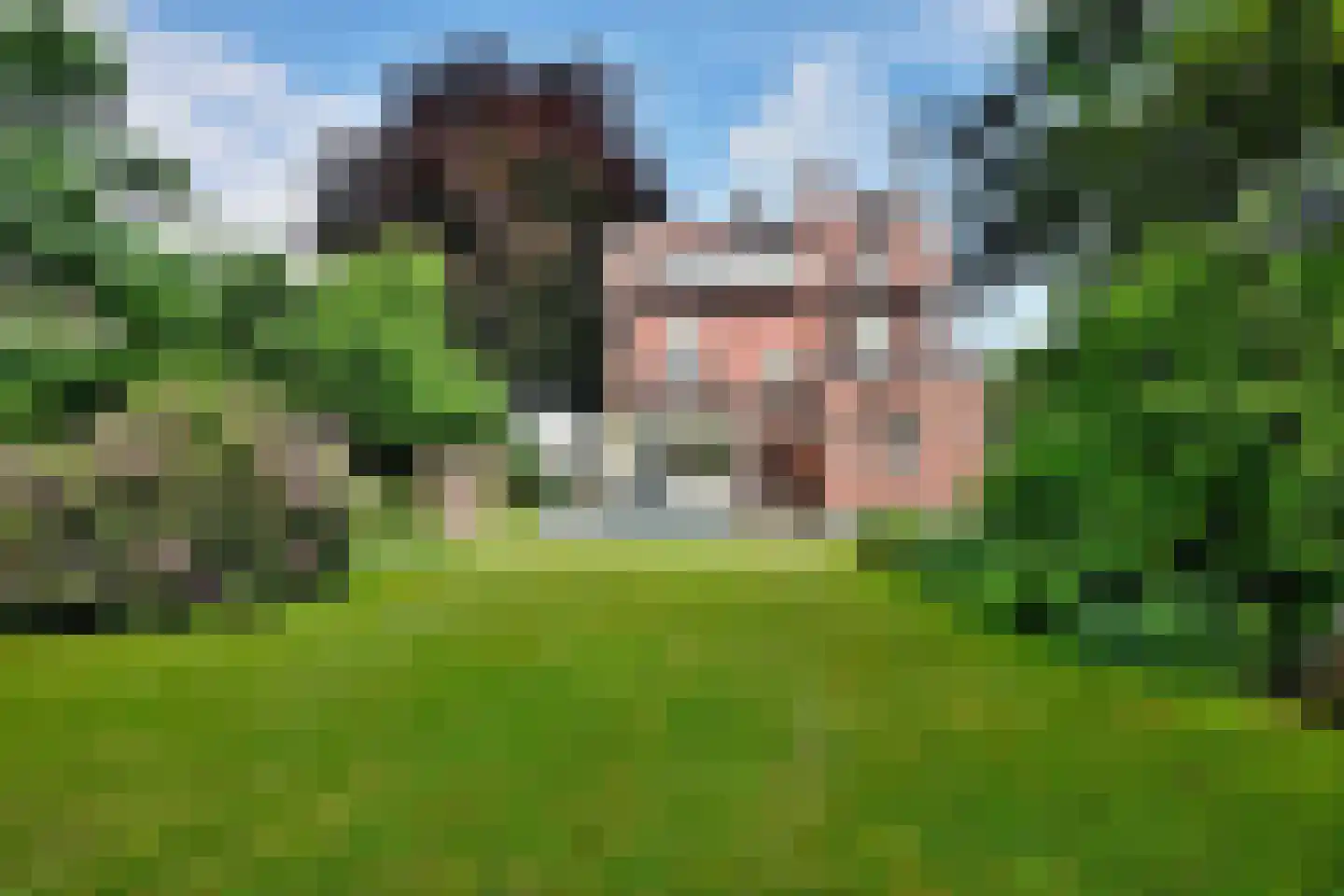 Stationsplein 20 Dieren thumbnail 5