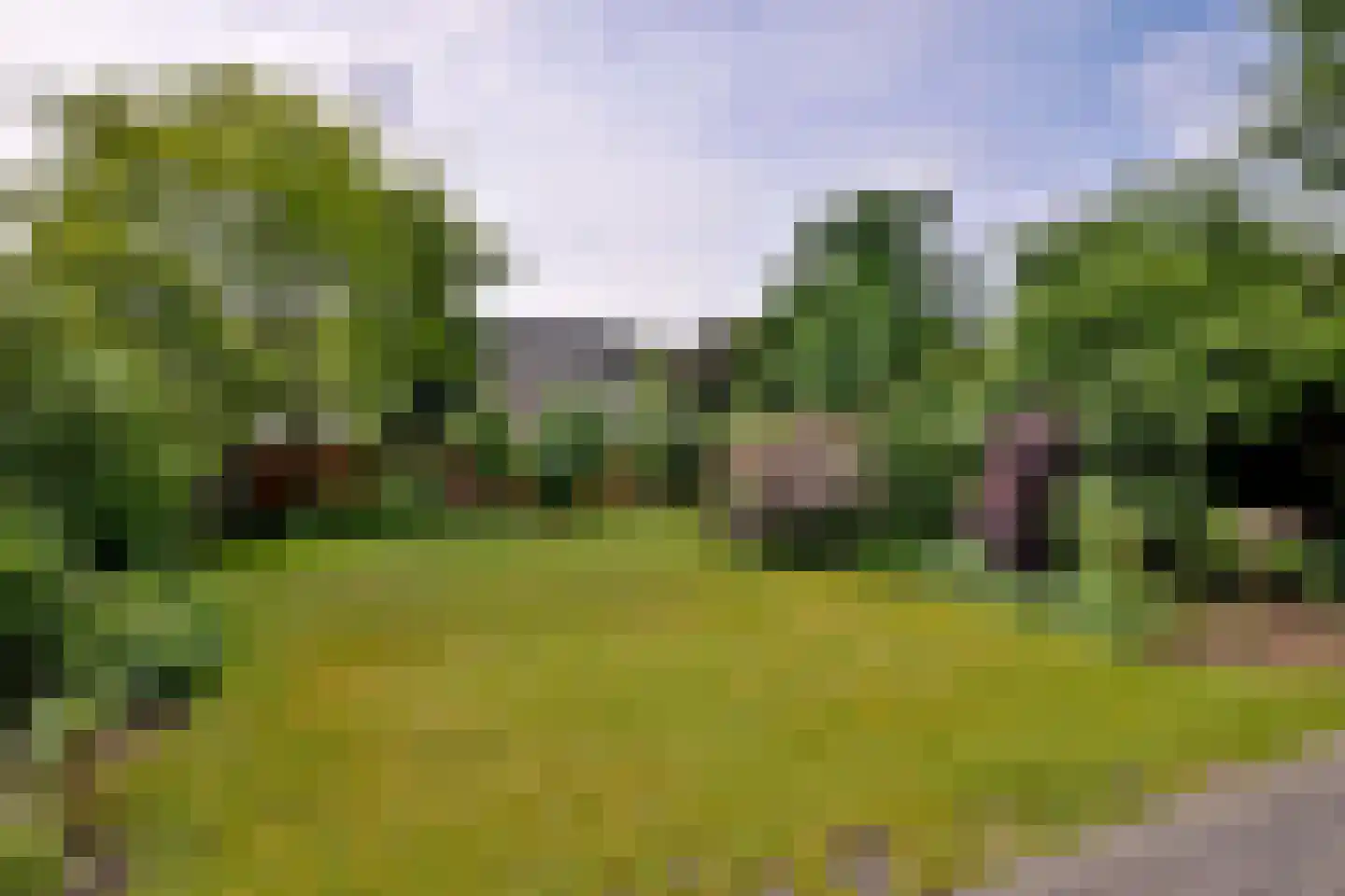 Stationsplein 20 Dieren thumbnail 56