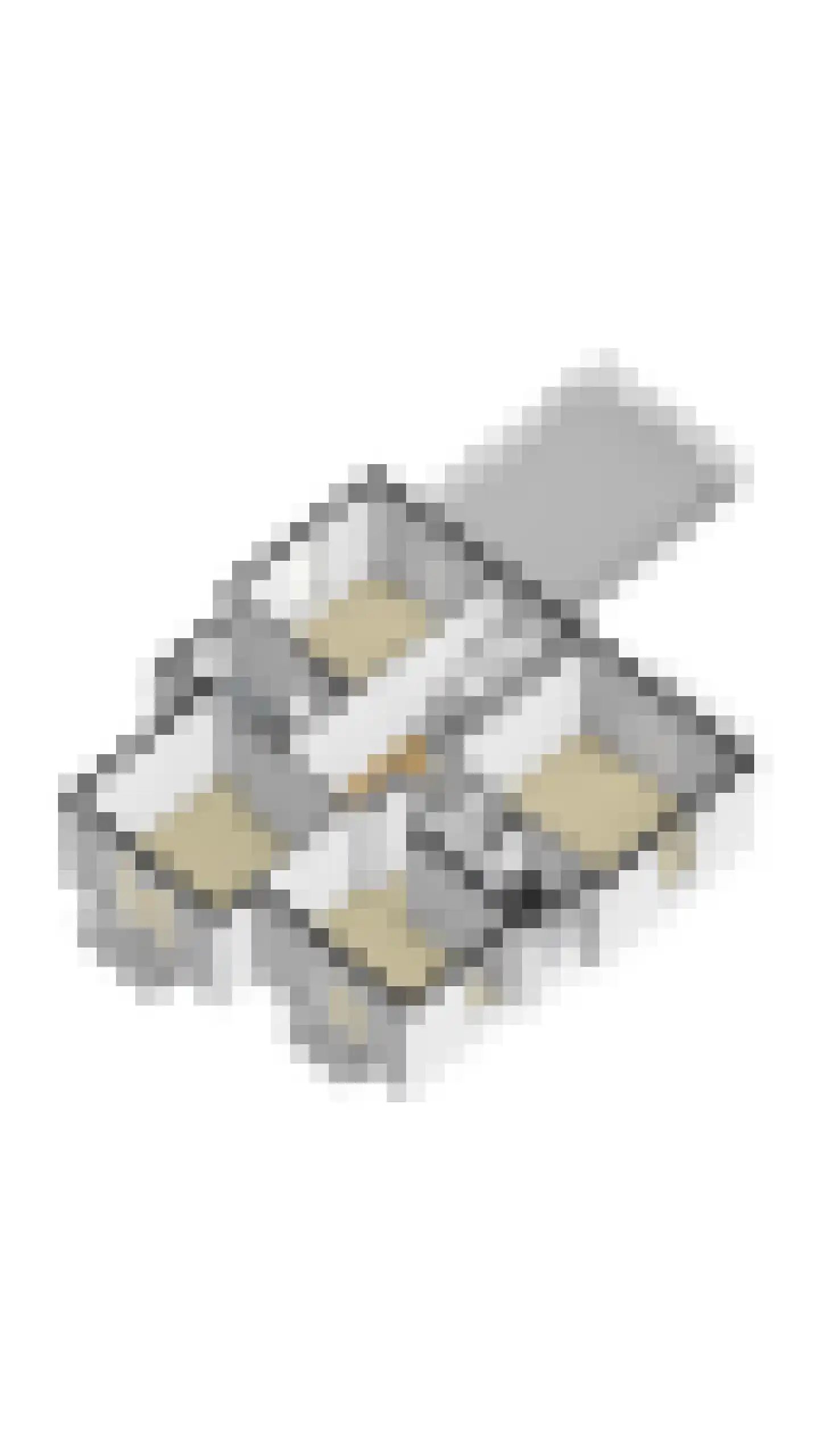 Stationsplein 20 Dieren thumbnail 75