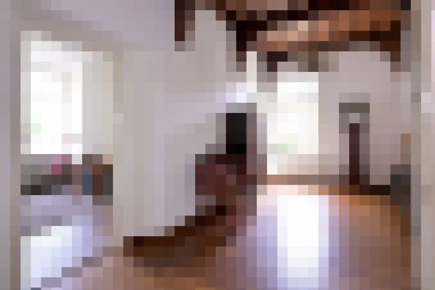 Stationsplein 20 Dieren thumbnail 8
