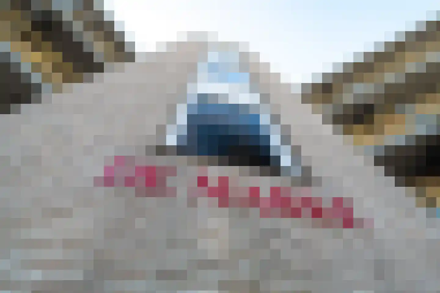 Stationsplein 23 Haren Gn thumbnail 14