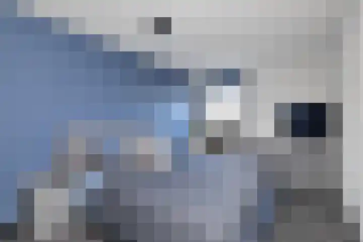 Stationsplein 29 Helmond thumbnail 29