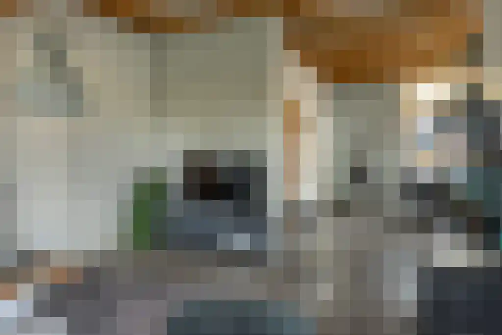 Stationsplein 32 Heerenveen thumbnail 38