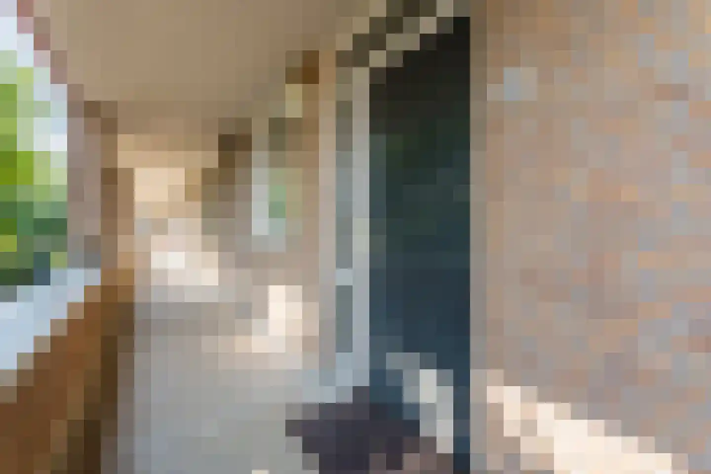 Stationsplein 34 Cuijk thumbnail 8