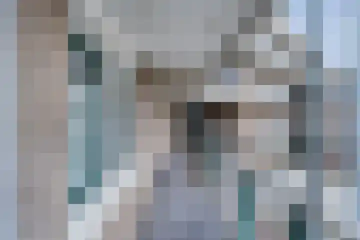 Stationsplein 35 Coevorden thumbnail 15