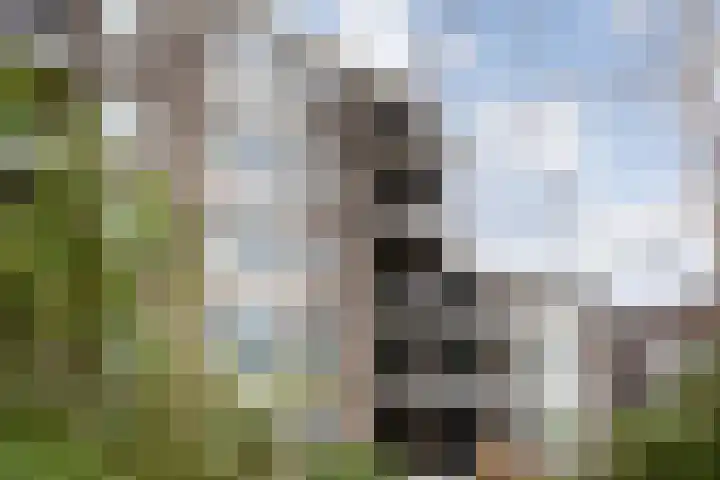Stationsplein 35 Coevorden thumbnail 9