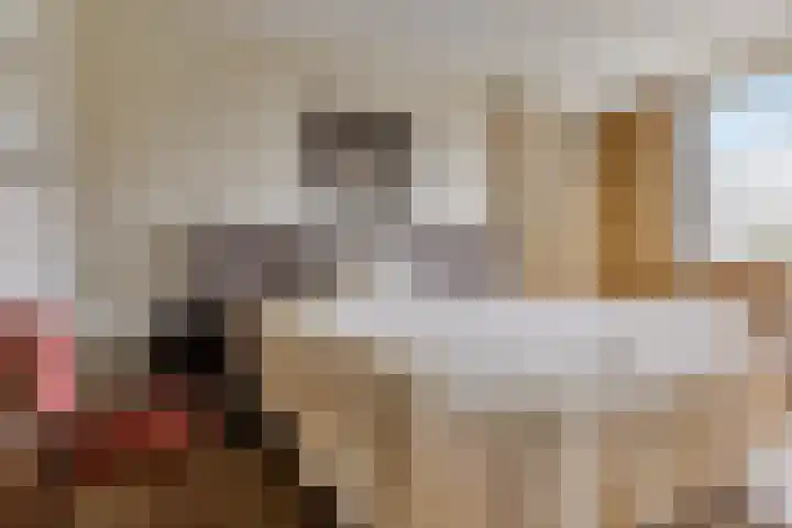 Stationsplein 4 e Dieren thumbnail 24