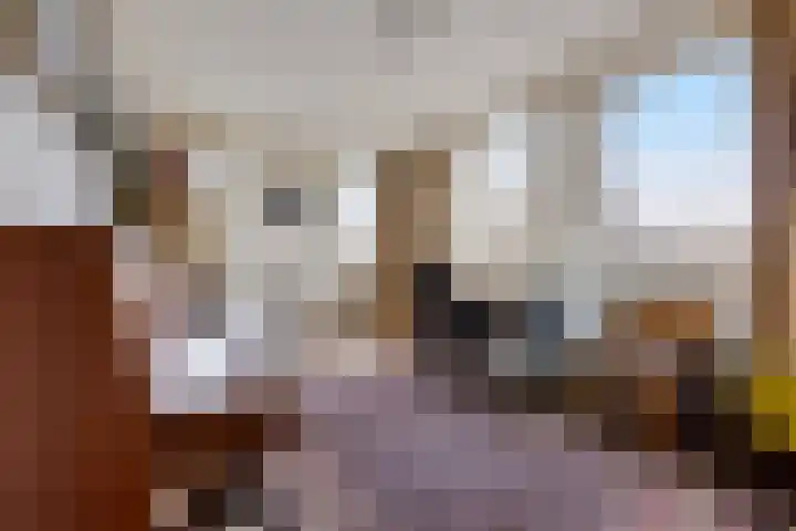 Stationsplein 4 e Dieren thumbnail 30