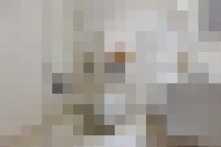 Stationsplein 4 e Dieren thumbnail 33