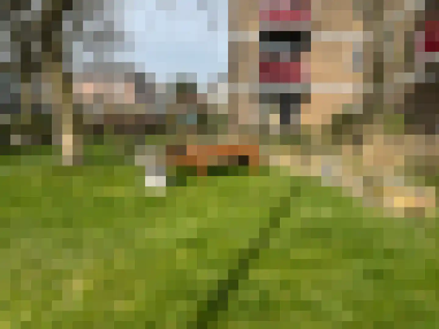 Stationsplein 42 Velp thumbnail 25