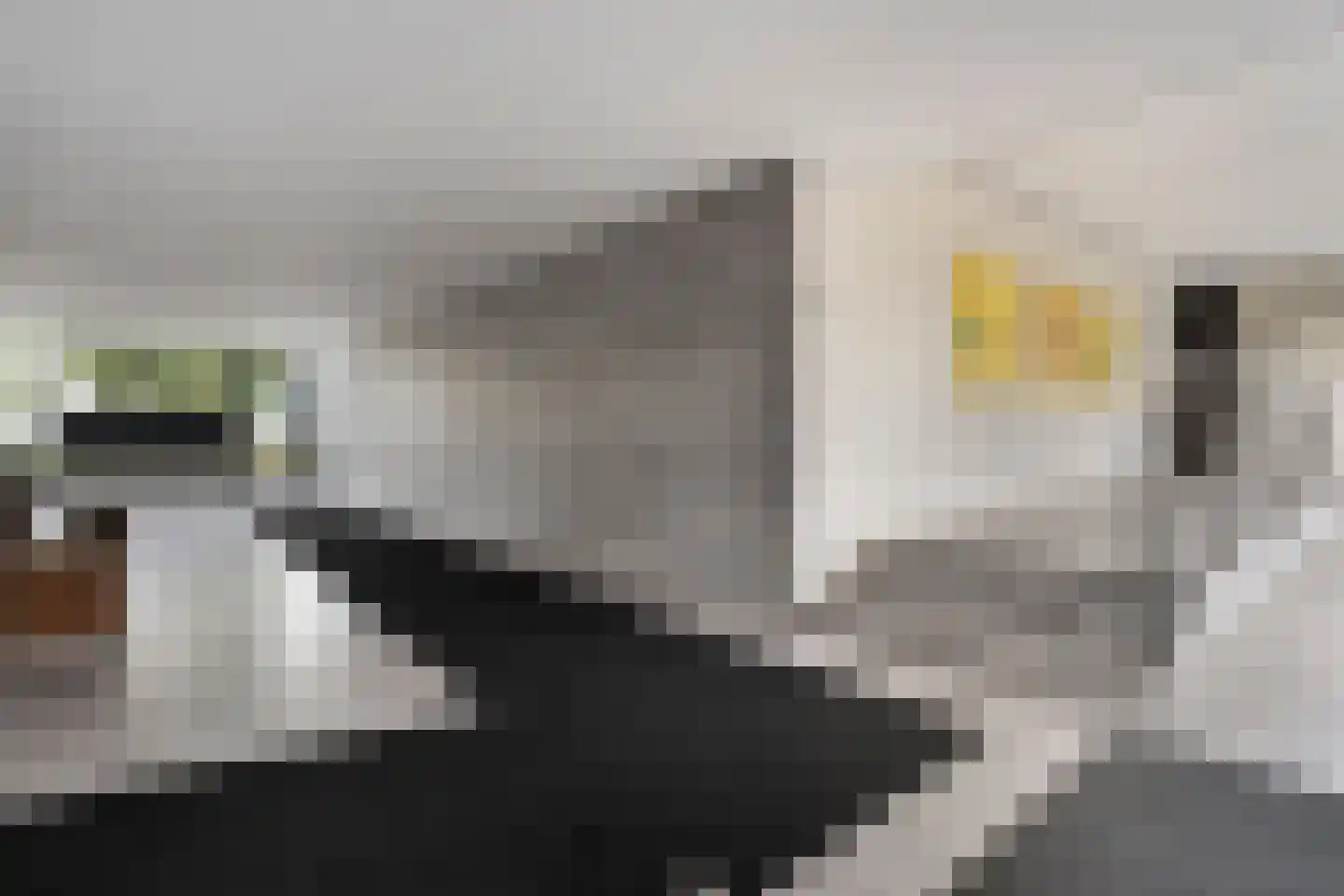 Stationsplein 43 Oldenzaal thumbnail 33