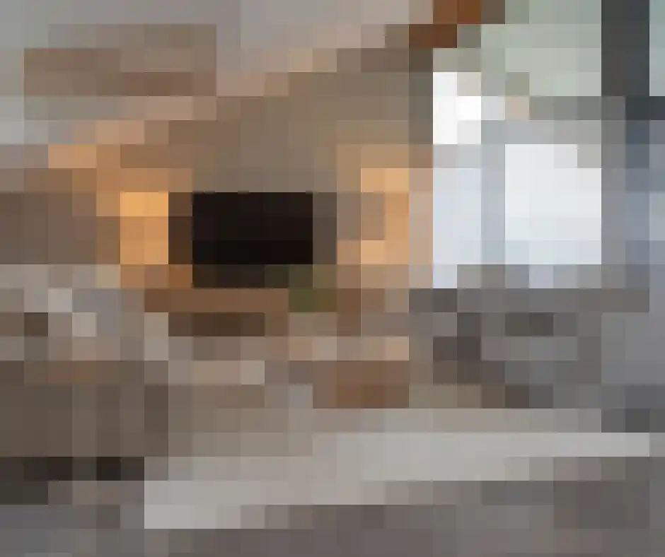 Stationsplein 45 Oldenzaal thumbnail 11