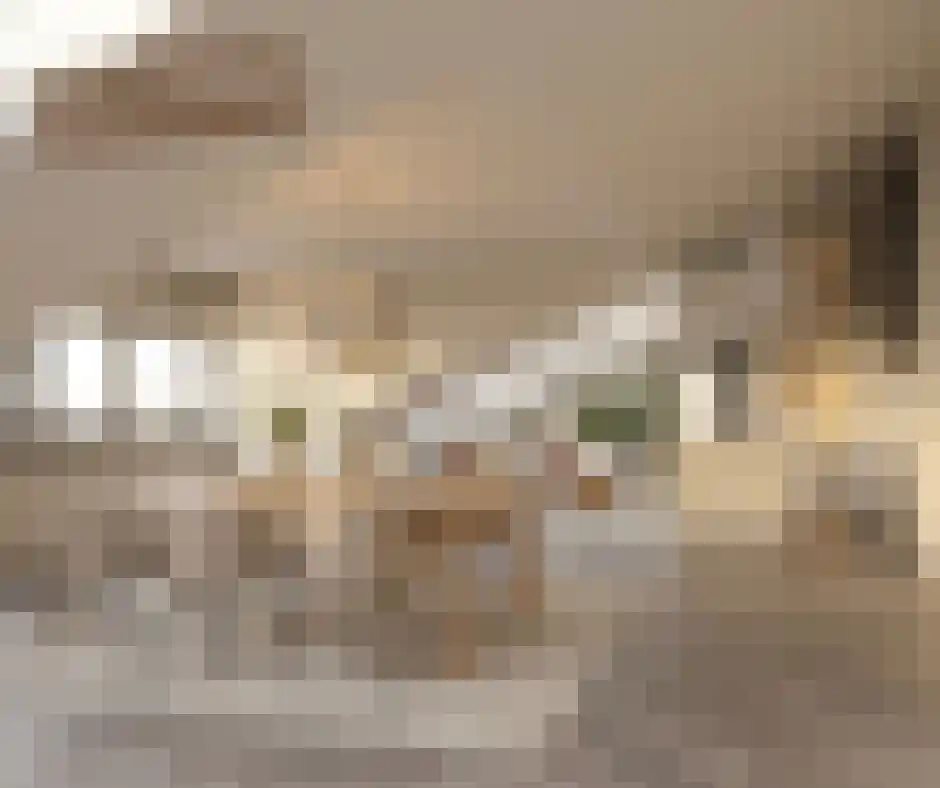 Stationsplein 45 Oldenzaal thumbnail 19