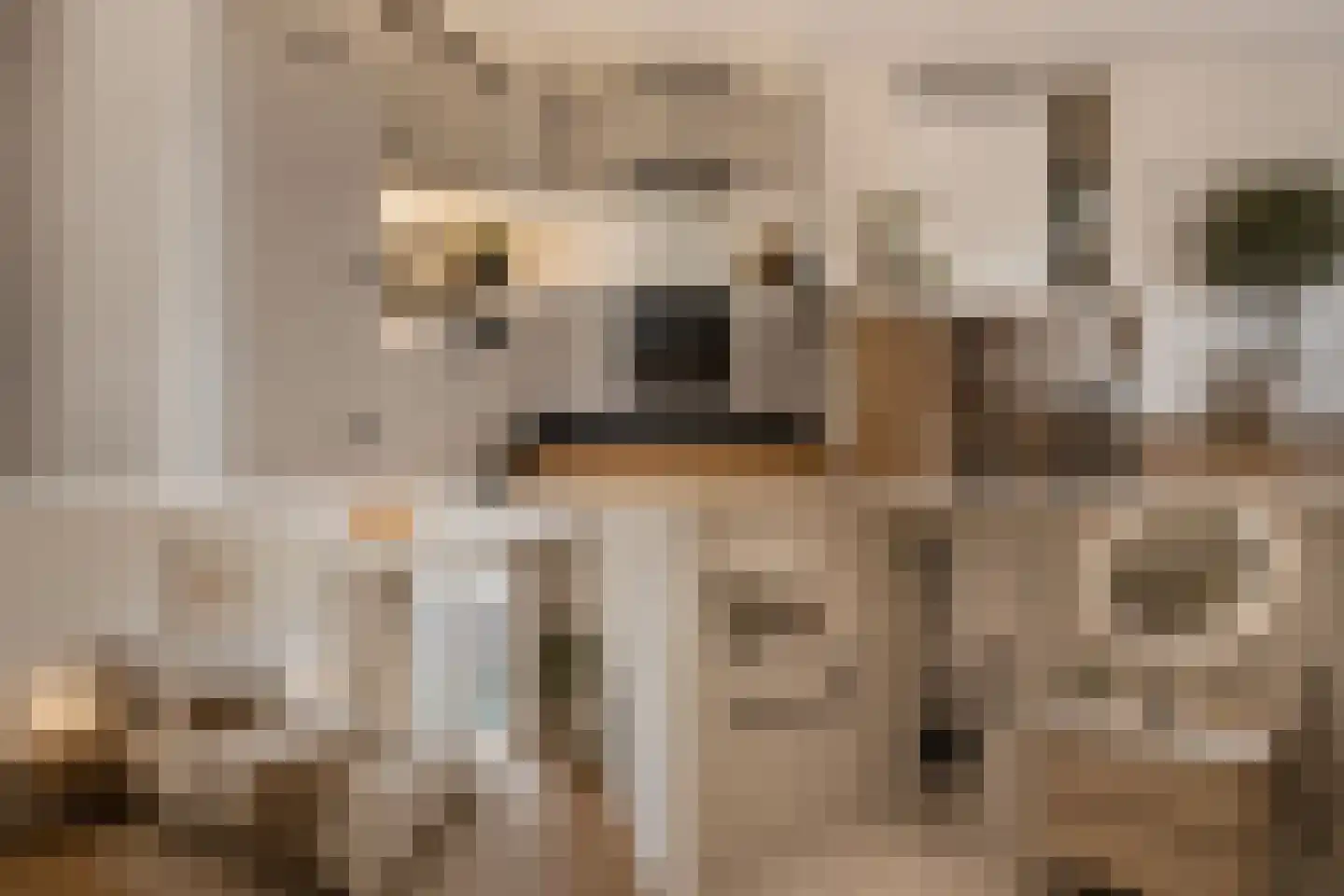 Stationsplein 49 's-Hertogenbosch thumbnail 6