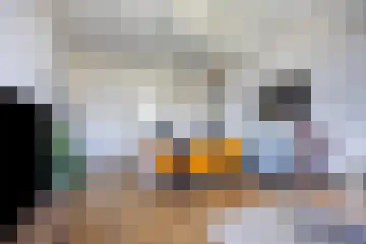 Stationsplein 5 C Roermond thumbnail 9