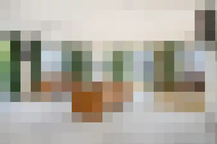 Stationsplein 57 's-Hertogenbosch thumbnail 4