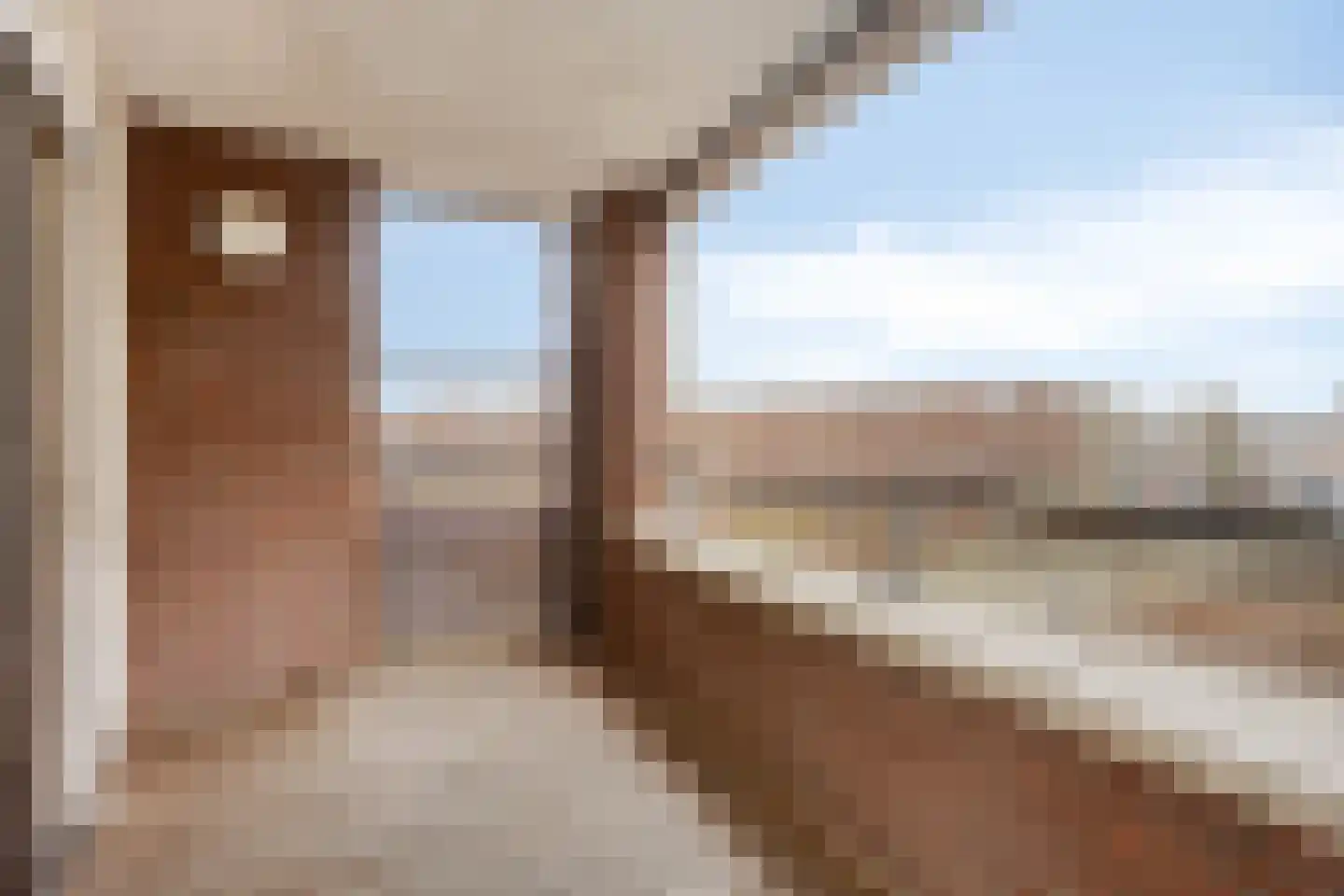 Stationsplein 60 Cuijk thumbnail 25