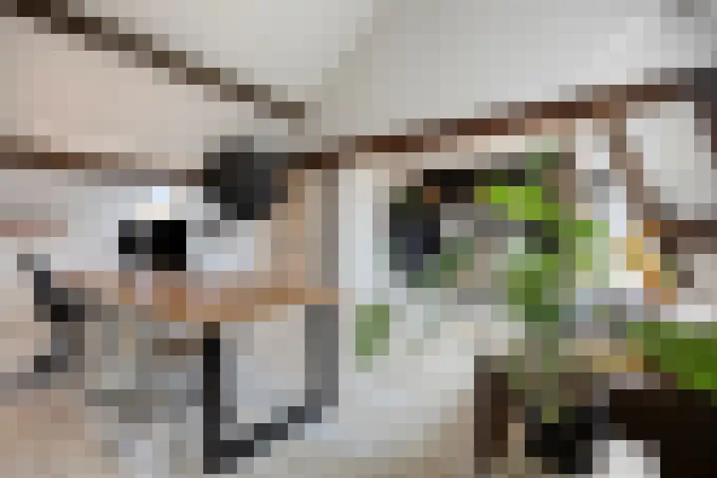 Stationsplein 7 Eijsden thumbnail 65