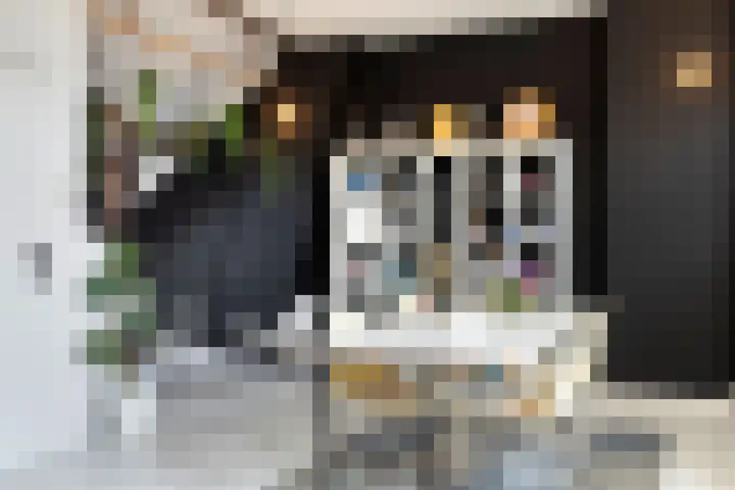 Stationsplein 7 Eijsden thumbnail 66