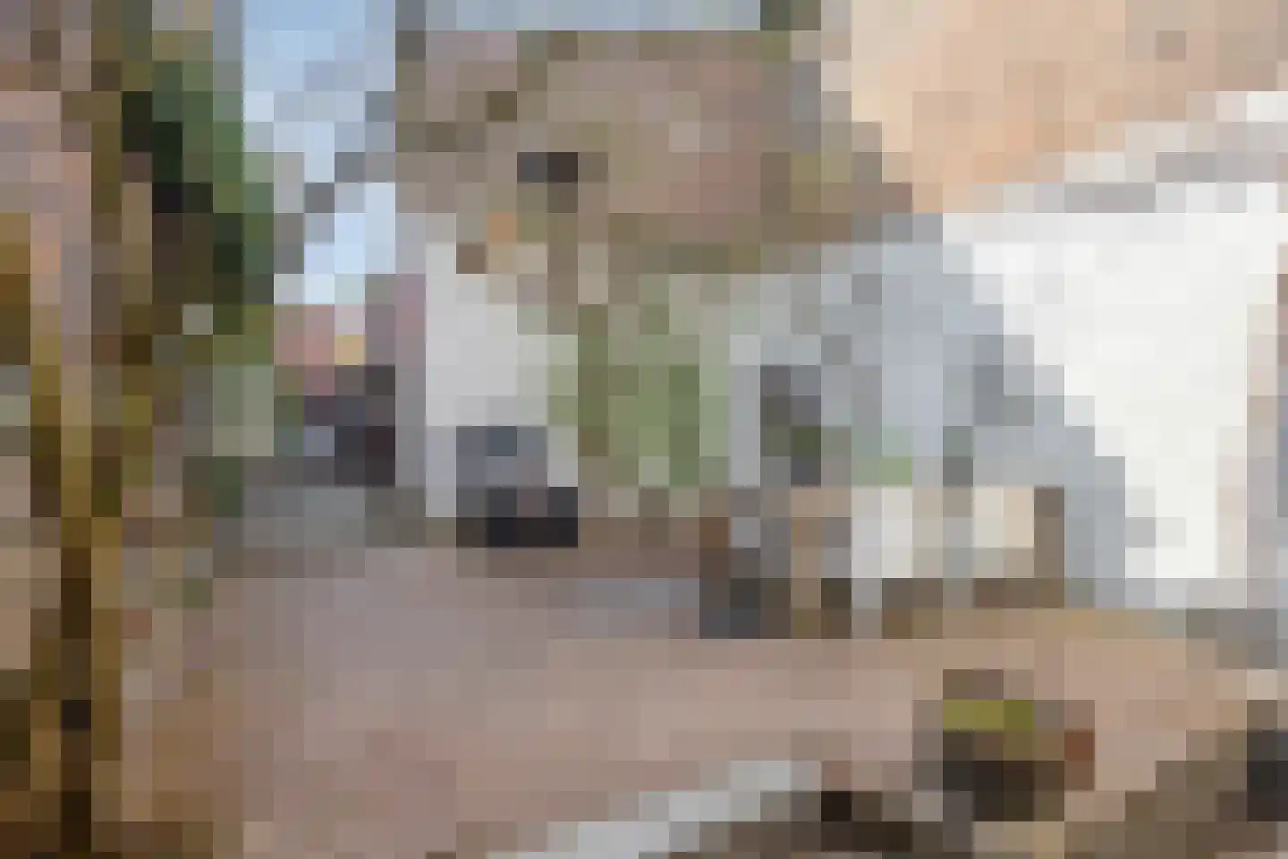 Stationsplein 7 Eijsden thumbnail 69