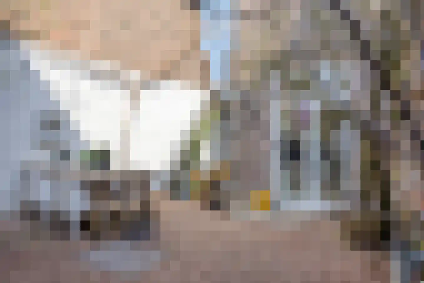 Stationsplein 7 Eijsden thumbnail 71