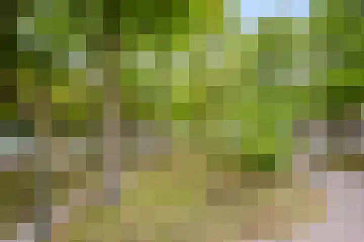 Stationsplein 8 H Veenendaal thumbnail 30