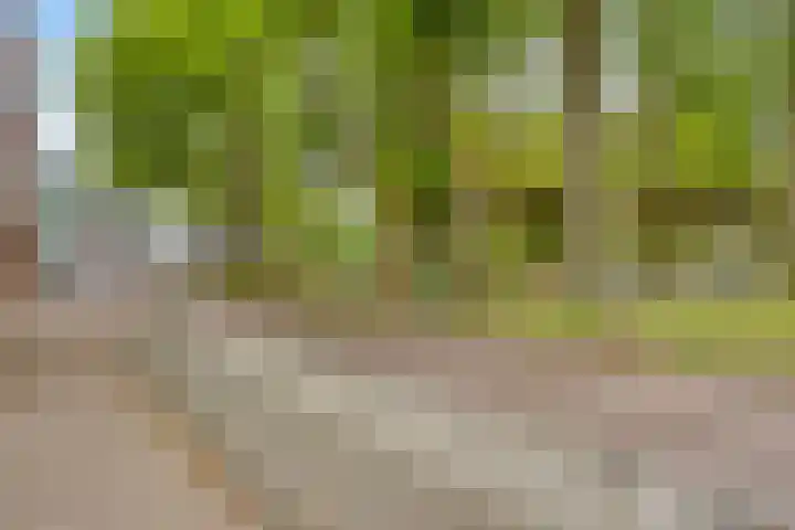 Stationsplein 8 H Veenendaal thumbnail 32