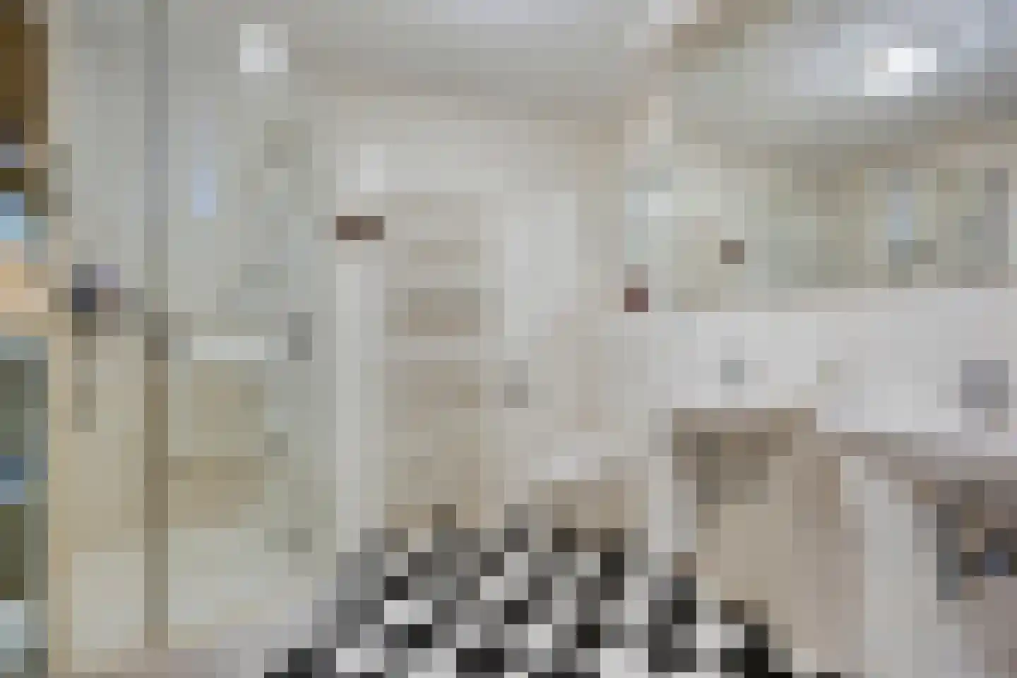 Stationsplein 96 Cuijk thumbnail 31