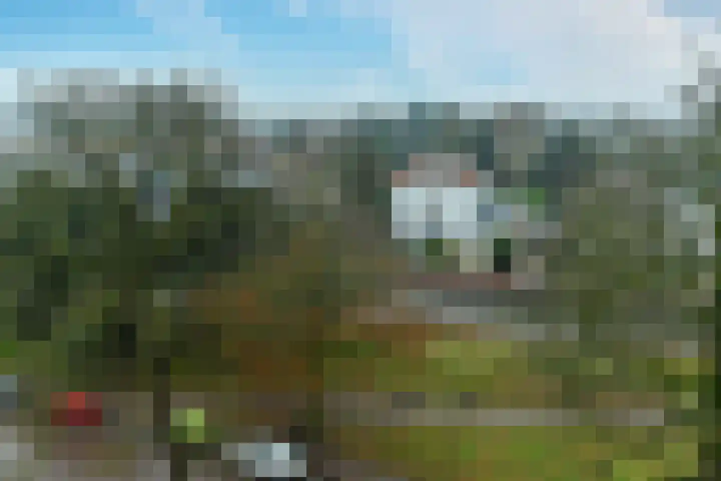 Stationsplein 96 Velp thumbnail 28