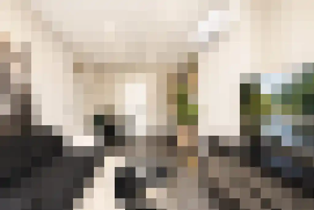 Stationssingel 19 Rotterdam thumbnail 5