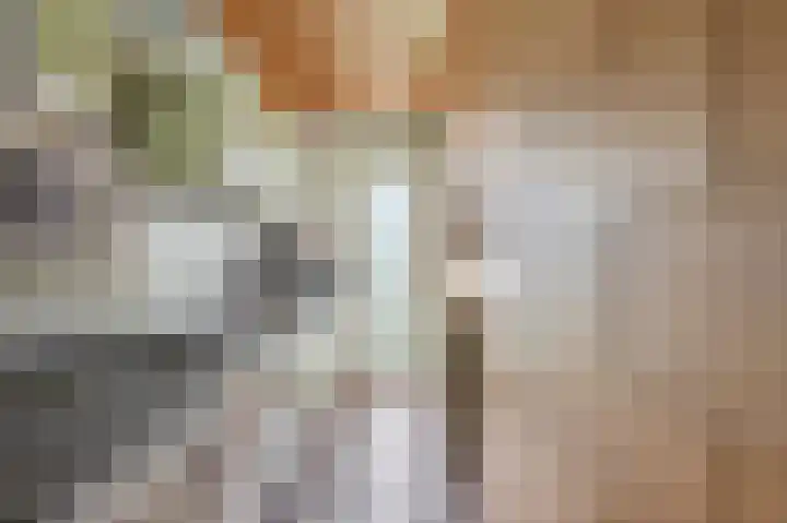 Stationssingel 27 B 02 Rotterdam thumbnail 15