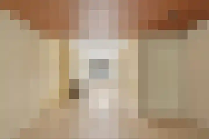 Stationssingel 27 B 02 Rotterdam thumbnail 9