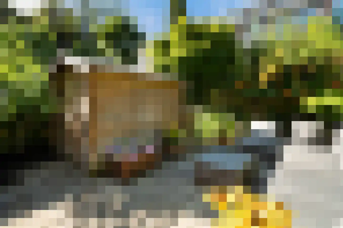 Stationssingel 51 A Rotterdam thumbnail 33