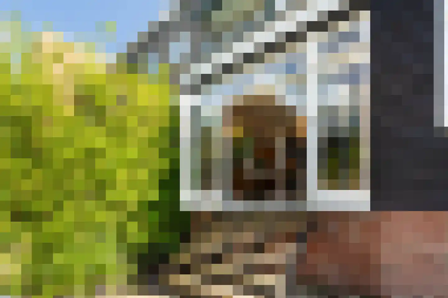 Stationssingel 51 A Rotterdam thumbnail 36
