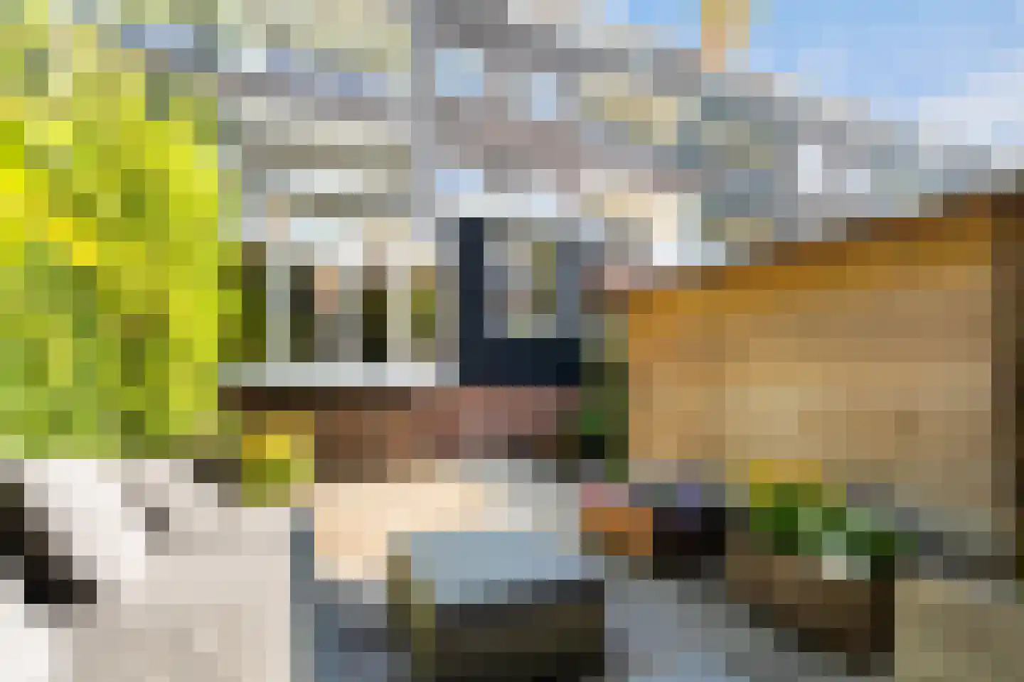 Stationssingel 51 A Rotterdam thumbnail 40